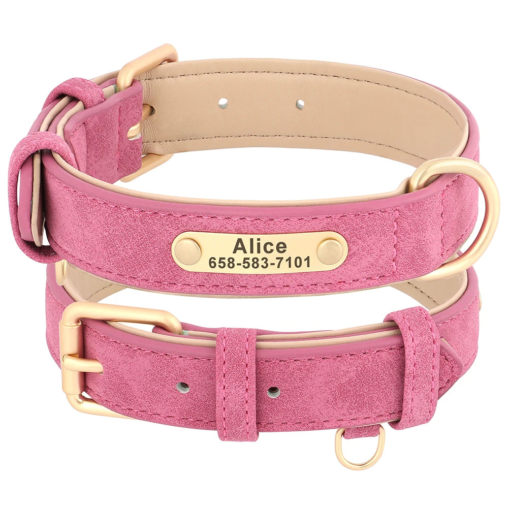 Personalised Dog Collar