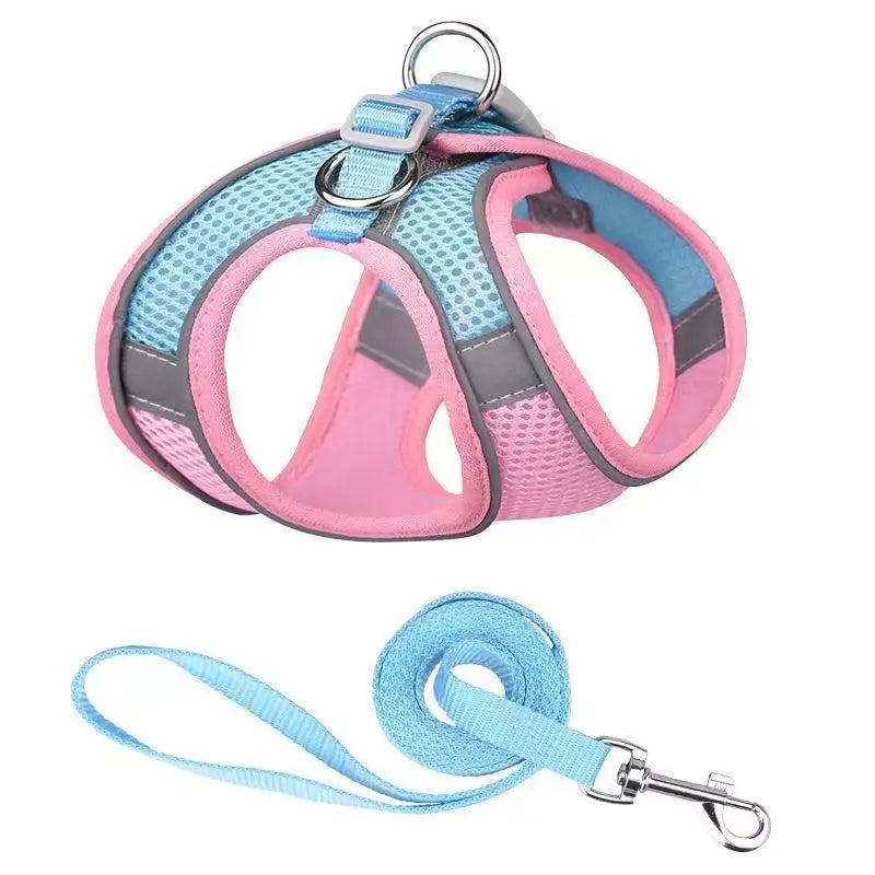 Dog Harness & Leash Set