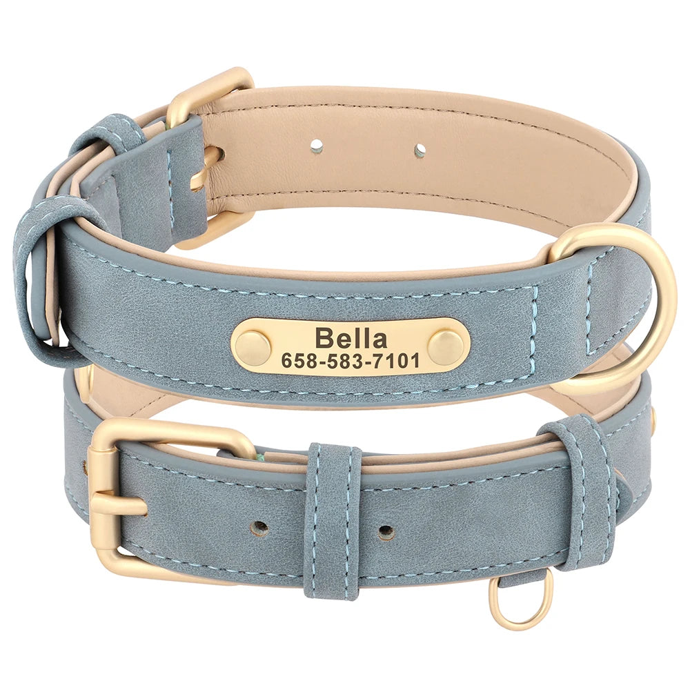 Personalised Dog Collar