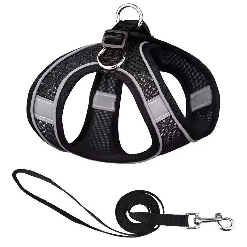 Dog Harness & Leash Set