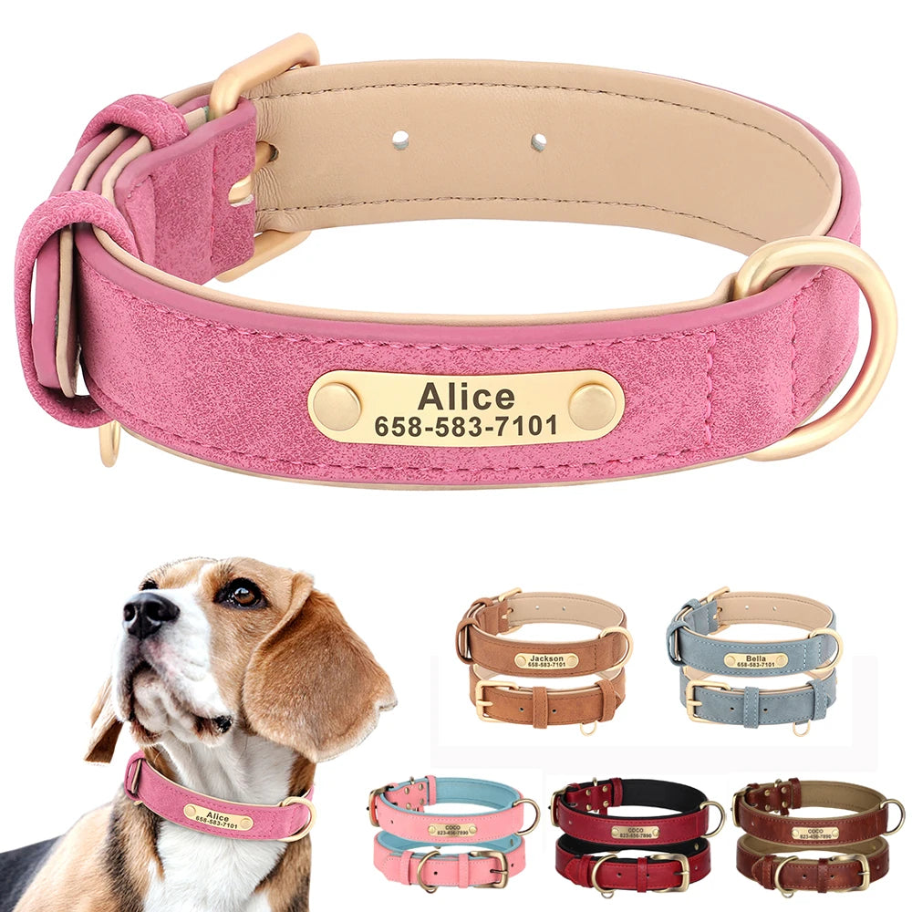 Personalised Dog Collar