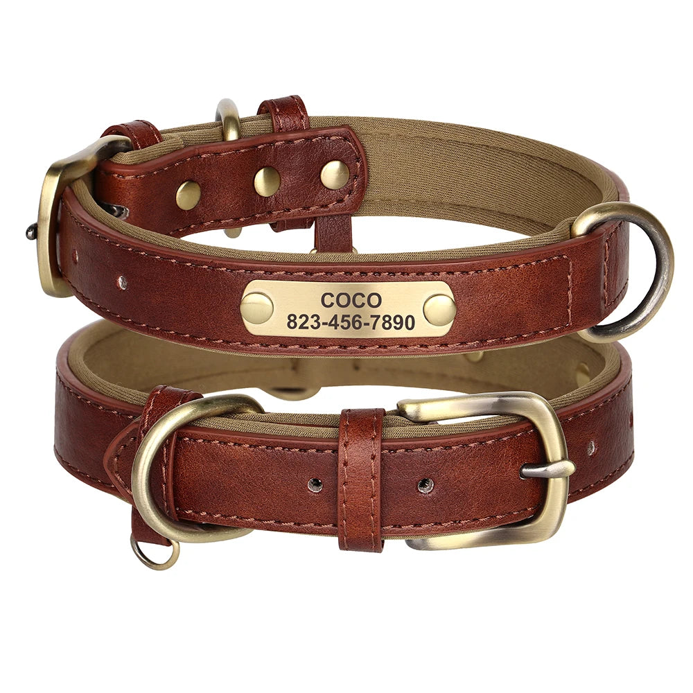 Personalised Dog Collar