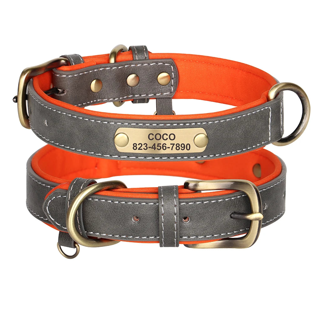 Personalised Dog Collar