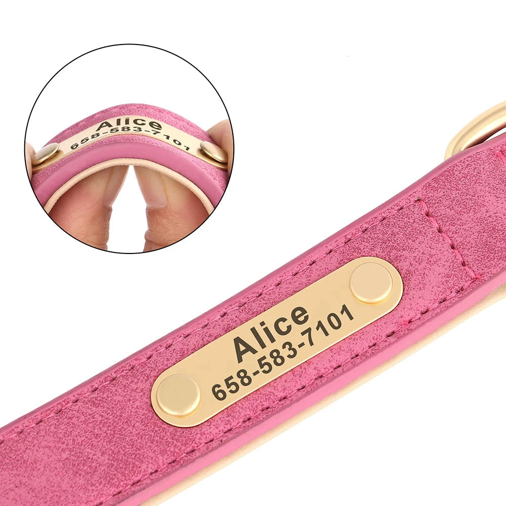 Personalised Dog Collar