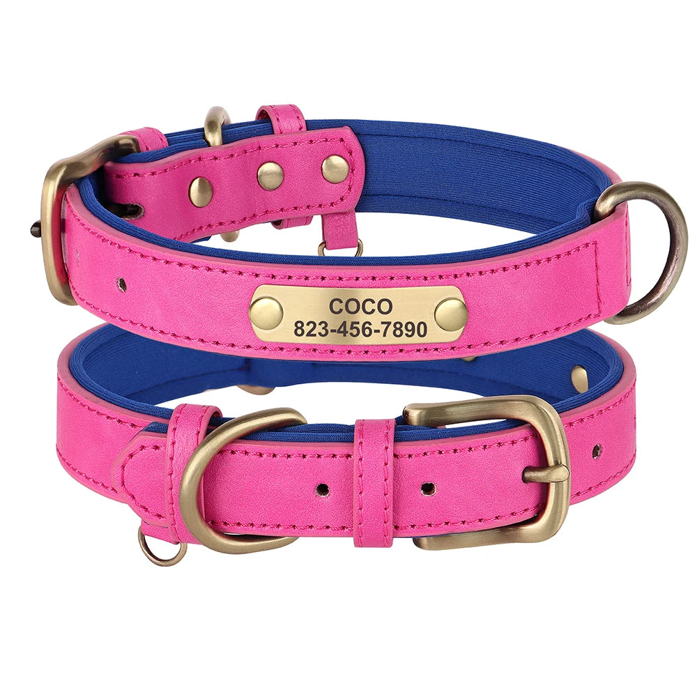 Personalised Dog Collar