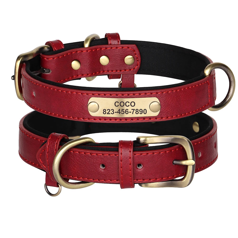 Personalised Dog Collar