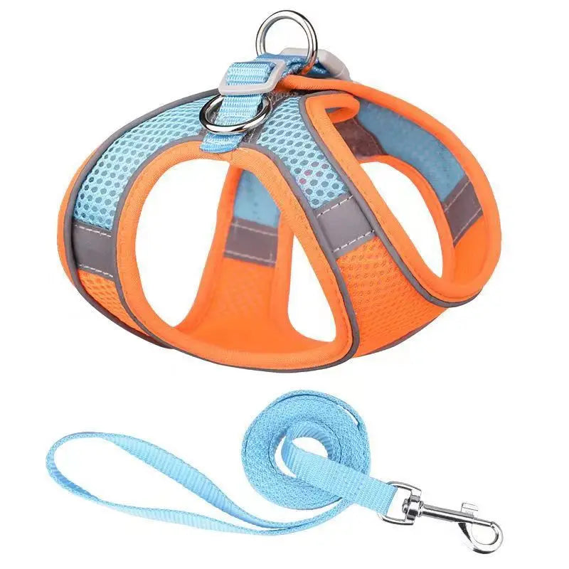 Dog Harness & Leash Set