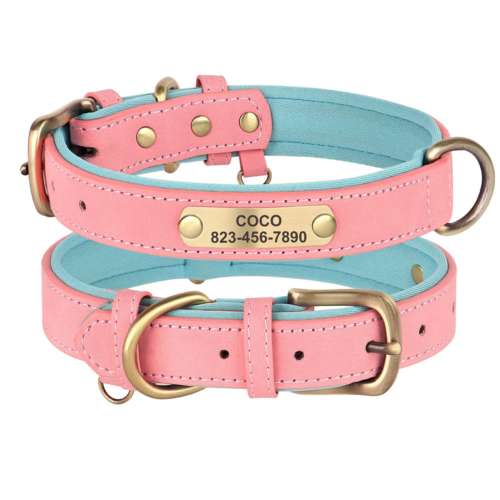 Personalised Dog Collar