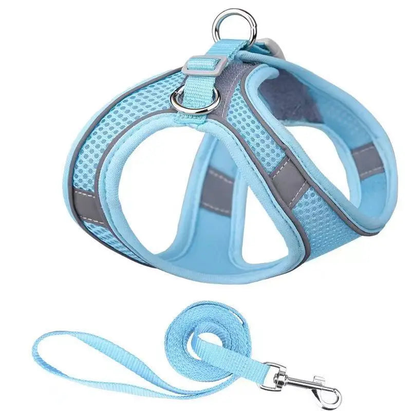 Dog Harness & Leash Set