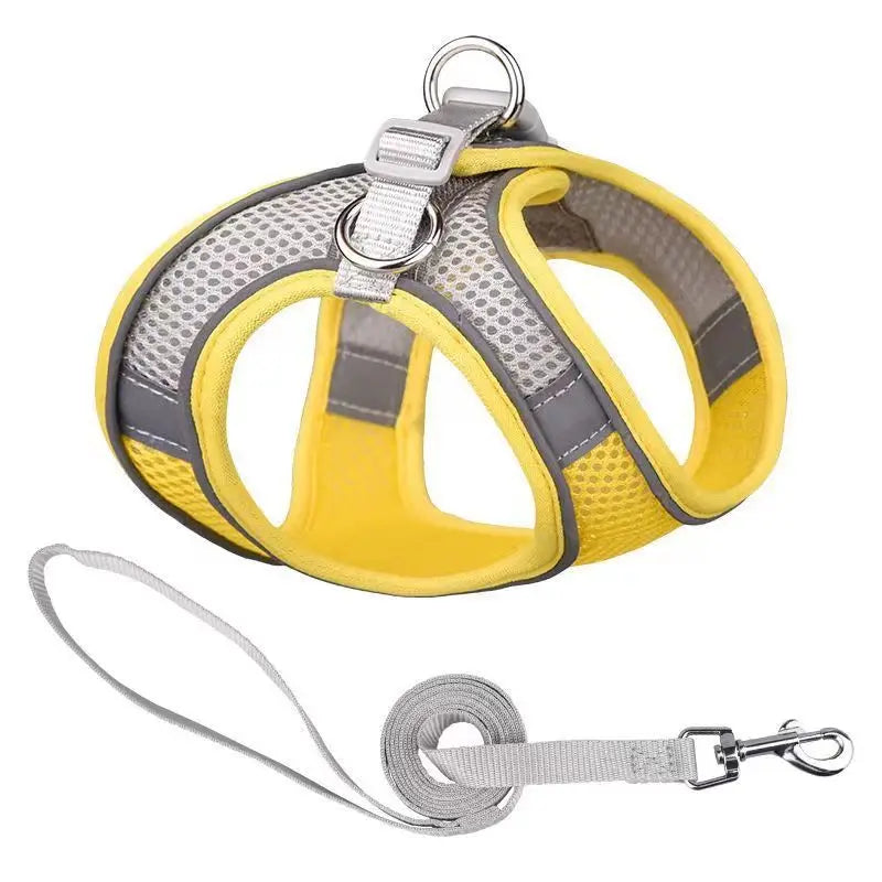 Dog Harness & Leash Set