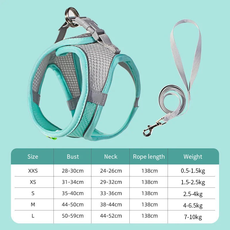 Dog Harness & Leash Set